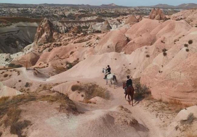 Horseriding tour